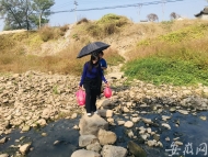六安舒城一老橋拆除新橋停建 村民只能踩著石頭過河
