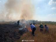 六安：稻田突發(fā)火情  公安消防合力撲滅
