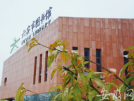 持續探索 不斷創新 打造公共文化服務“安徽模式”