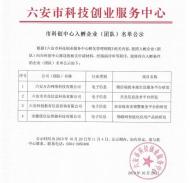 六安市科創中心４家入孵企業（團體）名單正在公示
