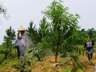 特色产业助力阜阳脱贫攻坚