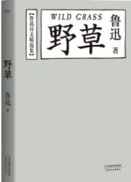 李聲波：閑讀周氏兄弟