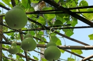 黃全國：歸處