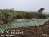 2020年安徽省生態環境保護督察啟動  對合肥等6市進行專項督察