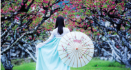 章勇：我與桃花相約
