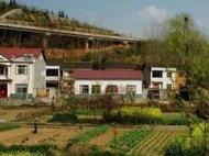 農村宅基地辦理不動產證如何辦理？碭山縣回復