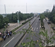 網友建議在各個高架橋下增加公共廁所  合肥城管局回復