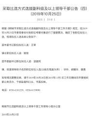 桐城市采取比選方式選拔副科級及以上領導干部 擬任人選公布
