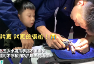 “叔叔你專業(yè)么？” 5歲男孩手指被卡 一句話把消防員逗樂