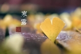 降雨降温，巢湖未来几天寒意渐浓
