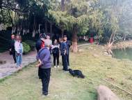 合肥兩名市民遛狗不牽繩 被罰50元