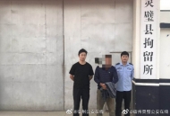 靈璧一男子嫌自家玉米收成少竟偷盜 被行拘