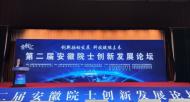 眾院士合肥“論劍”：聚焦重大工程科技問題 助推安徽融入“長三角”發展