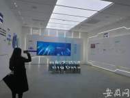 合肥大数据产业示范园开园 让数字技术成果服务于民