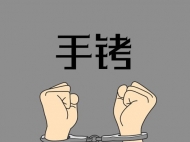 阜阳两“黑老大”分别获刑二十五年