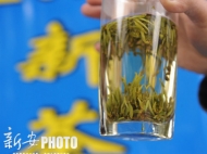 明光一小伙假賣茶葉實詐騙 被判處拘役五個月