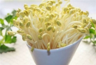 合肥專項抽檢豆芽菜  嚴(yán)查違規(guī)使用生長調(diào)節(jié)劑等行為 