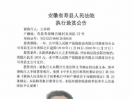 淮南壽縣法院曝光一批老賴