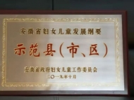 六安裕安區婦聯工作在全省成為示范