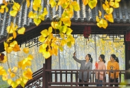 未已：我們都是人間驚鴻客