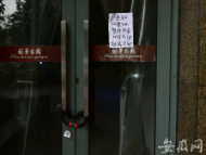 危機中的呆蘿卜將如何“重生”？稱25日起逐步恢復(fù)辦公，相關(guān)部門已成立工作組介入調(diào)查