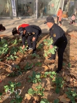 六安：居民毁绿种菜，耐心劝导无效，城管强制铲除