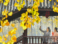 合肥滨湖国家森林公园秋景