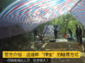 賭窩暗藏深山老林 馬鞍山警方搜山將其一鍋端