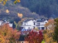 明年大別山革命老區有望實現村民組通硬化路  建制村通客車