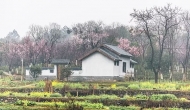 長(zhǎng)三角20 家媒體記者群訪池州杏花村景區(qū)和秀山門博物館