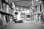 溫躍淵：金屋藏書劉政屏