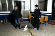 涇縣四男子深夜上山偷捕野雞 被罰1200元 