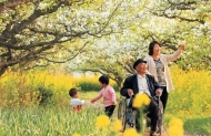 孫娟： 寫給鄉村教師桃花