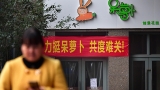 危机中的呆萝卜将如何“重生”？称25日起逐步恢复办公，相关部门已成立工作组介入调查