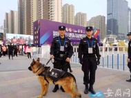 4800多名警力為2019合肥國際馬拉松賽保駕護(hù)航