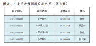 2019年廬江縣中小學(xué)新任教師公開招聘第七批擬聘用人選公示