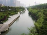 合肥匡河发现一具女尸  年龄约五六十岁