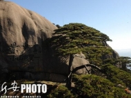 11月18日到2020年1月6日 黃山三條索道輪檢