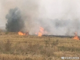 稻草田失火，六安警民联手2小时扑灭