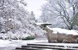 黃浩：等待雪（外一首）