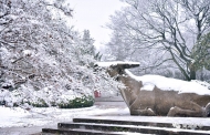 黃浩：等待雪（外一首）