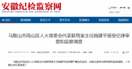 馬鞍山市雨山區人大常委會代表聯絡室主任施建平接受審查調查