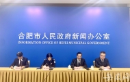 2020年6月—12月，合肥電動(dòng)自行車登記發(fā)牌