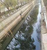 安徽公开征集城市黑臭水体线索