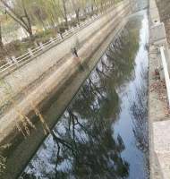 安徽公開征集城市黑臭水體線索