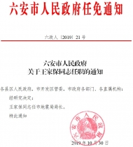 六安市人民政府任免通知 