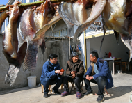 淮南：扶貧“造血”助長效