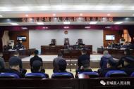 舒城：朱浩等8人涉惡勢力犯罪案件公開開庭審理