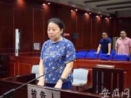 合肥巢湖經濟開發區管委會原主任王愛華終審獲刑11年6個月
