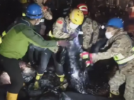 （視頻）海寧污水罐體坍塌事故致9死4人重傷 救援人員翻開布匹找人